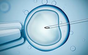 ਆਈਵੀਐਫ਼ ਇਲਾਜ (IVF Treatment)